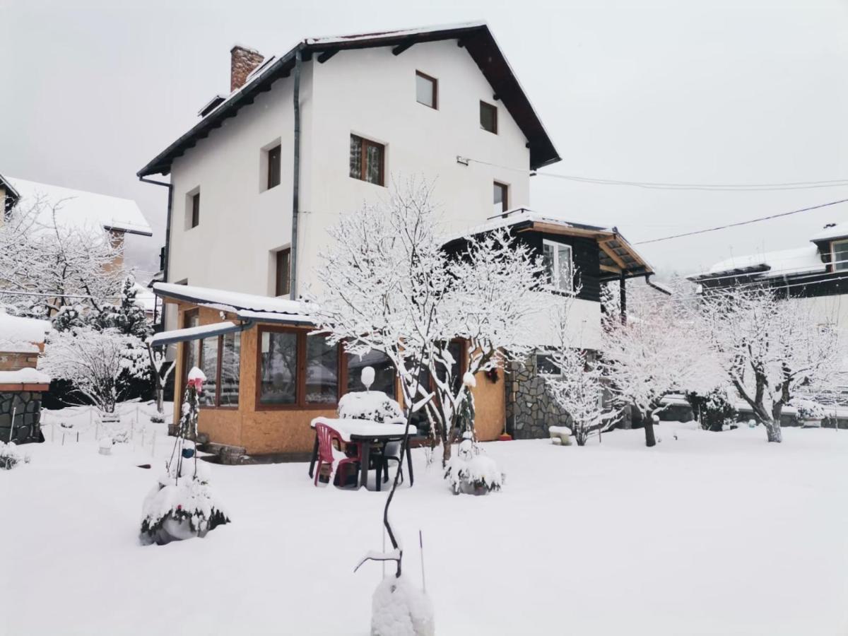 Zoso Home Buşteni Buitenkant foto